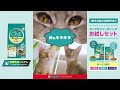 「ピュリナ ワン」映える猫には秘密がある お試しセットサンプル実施中