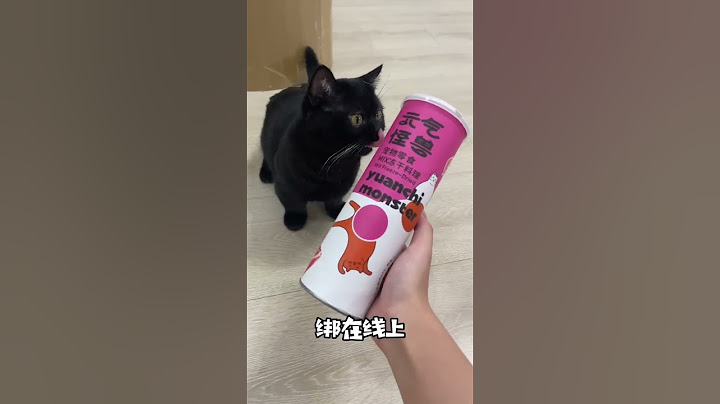 【一只黑糖啵啵🐻】原来猫咪永动机是真的！快来给你家猫试试！