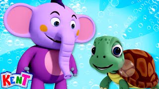 Kent The Elephant - I Had A Little Turtle Song | NEW Nursery Rhymes For Kids