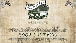 Food Systems + Regenerative Farming