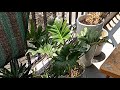 Tanya Iwamoto Vlog is live ITS MONDAY AGAIN | 5/25//26