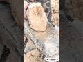 The Largest Hoof I Have Ever Had To Trim. Horse Restoration Front Hooves. #horse #donkey #hoof #asmr