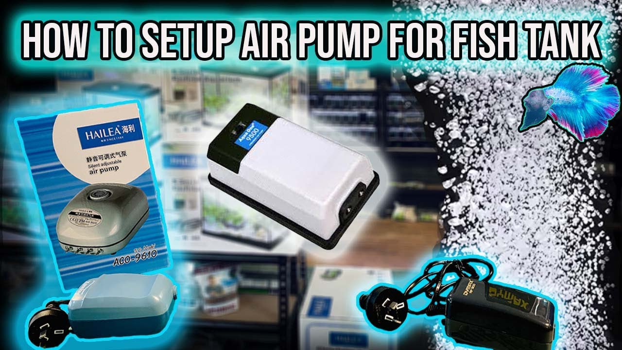 HOW TO SETUP AIR PUMP FOR FISH TANK. ~ HOW TO FIX A NOISEY