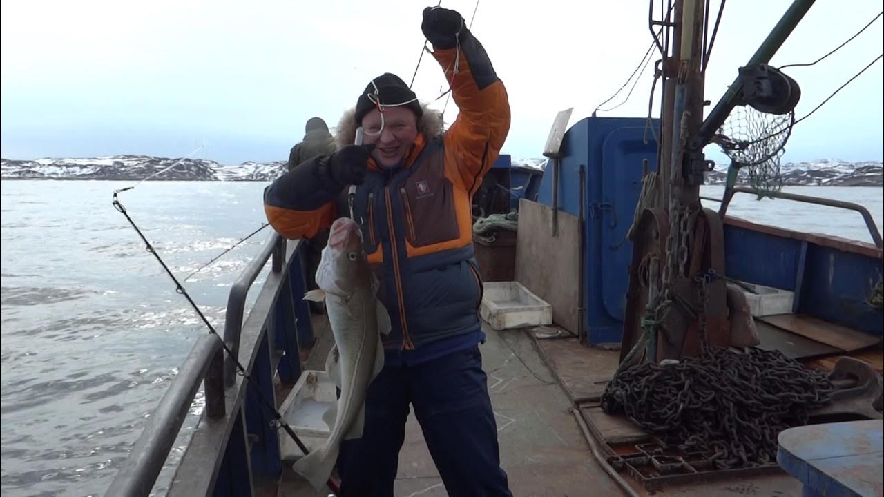 Ловля трески. Рыбалка в мурманске на треску. Треска рыбалка баренцево море. Мурманск рыбалка в баренцевом. Спиннинг для ловли трески в баренцевом море.