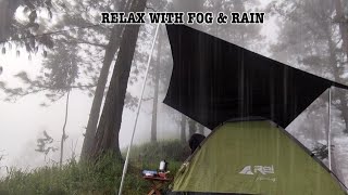 Camping by the river after the rain•Relaxing in the thick fog & heavy rain•Compilation•ASMR