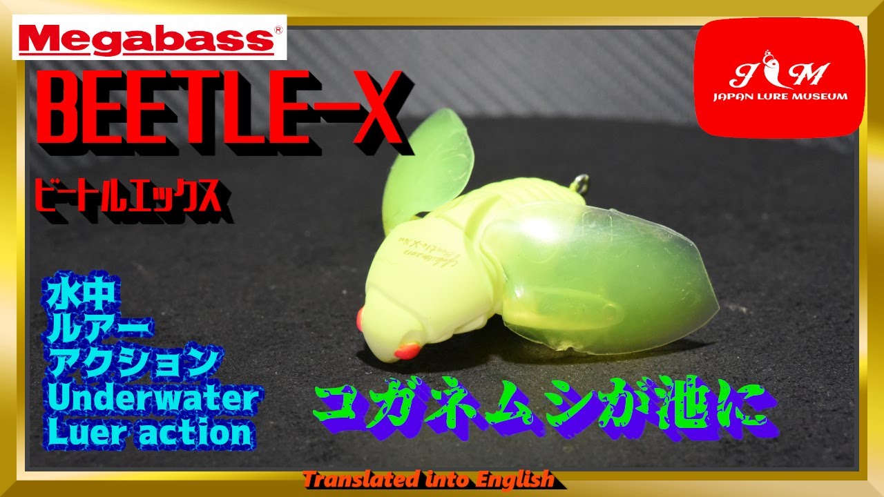 maxresdefault.jpg