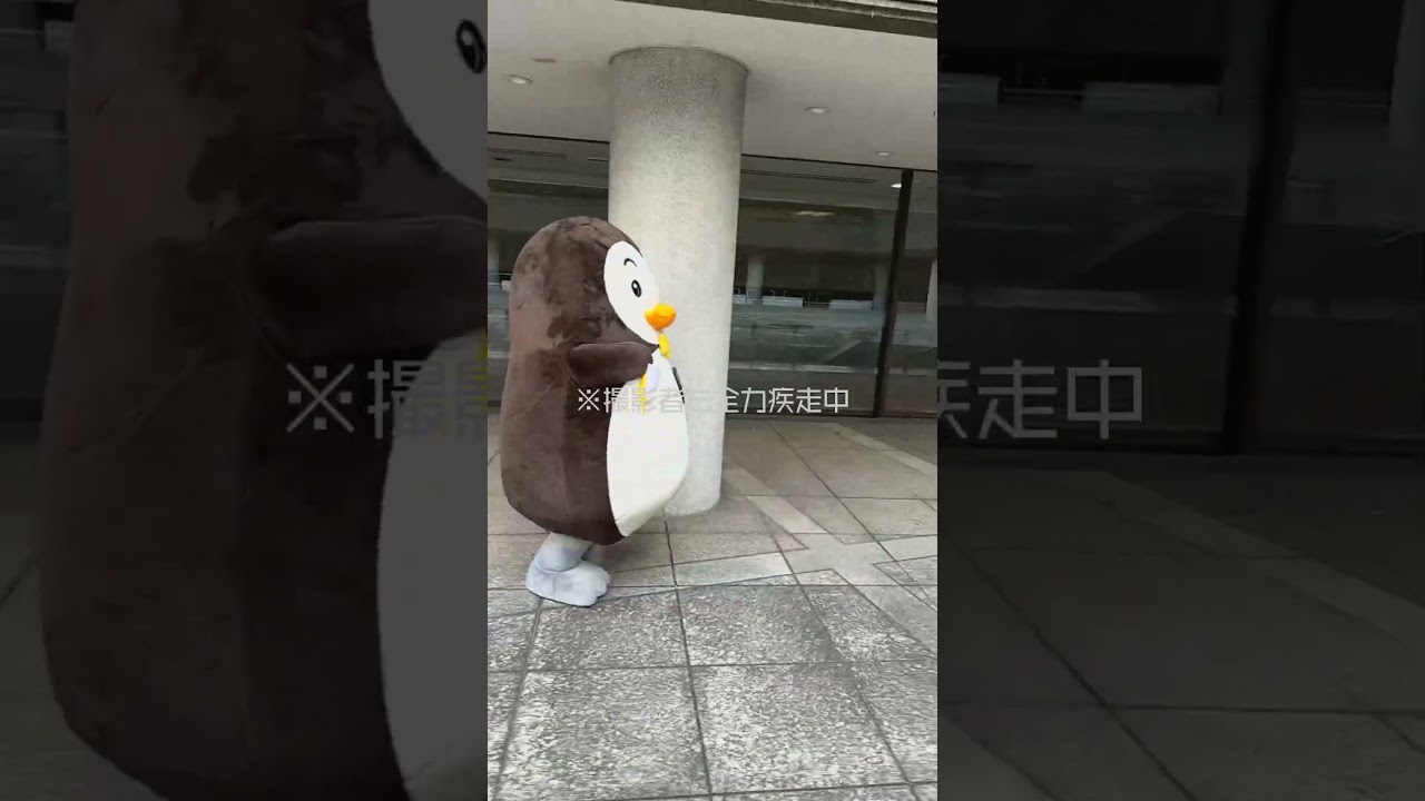 ホゴちゃんの障害物競走