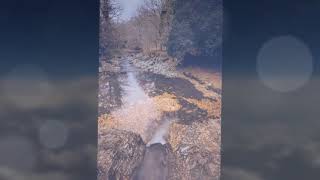 مۆسیقای حسن زیرەک screenshot 2