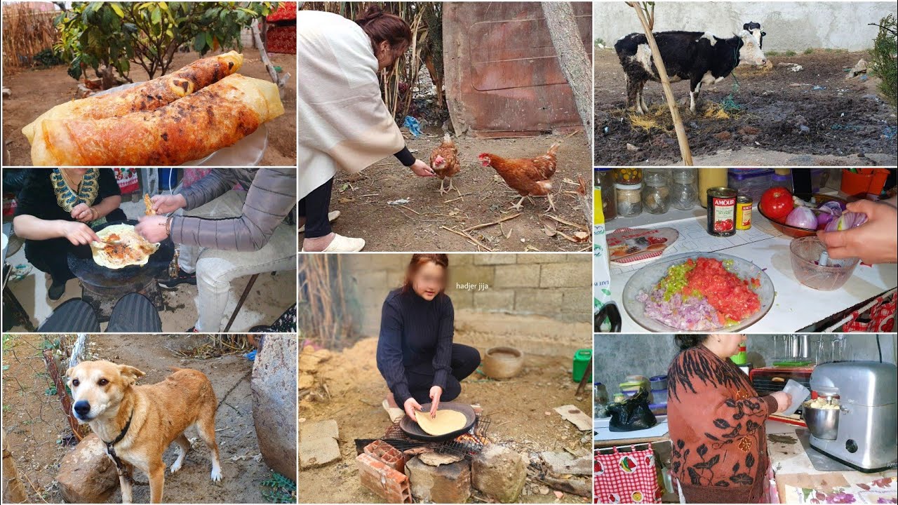 شاوية بنت الدوار💪|لمة وغناء، روتين شتوي من قلب الدوار رخساس ومحاجب على السامور...