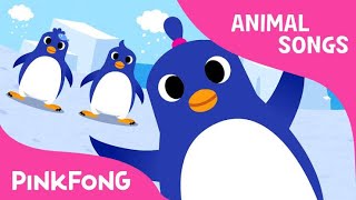 The Penguin Dance | Animal Songs | PINKFONG Songs for Children