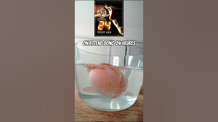 🧪 L'œuf rebondissant