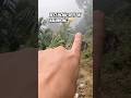 Jungle k Raste se hoker picnic spot 🤩😱| #sahildishaofficial #minivolgs #vlog #vlogger #shortsvideo