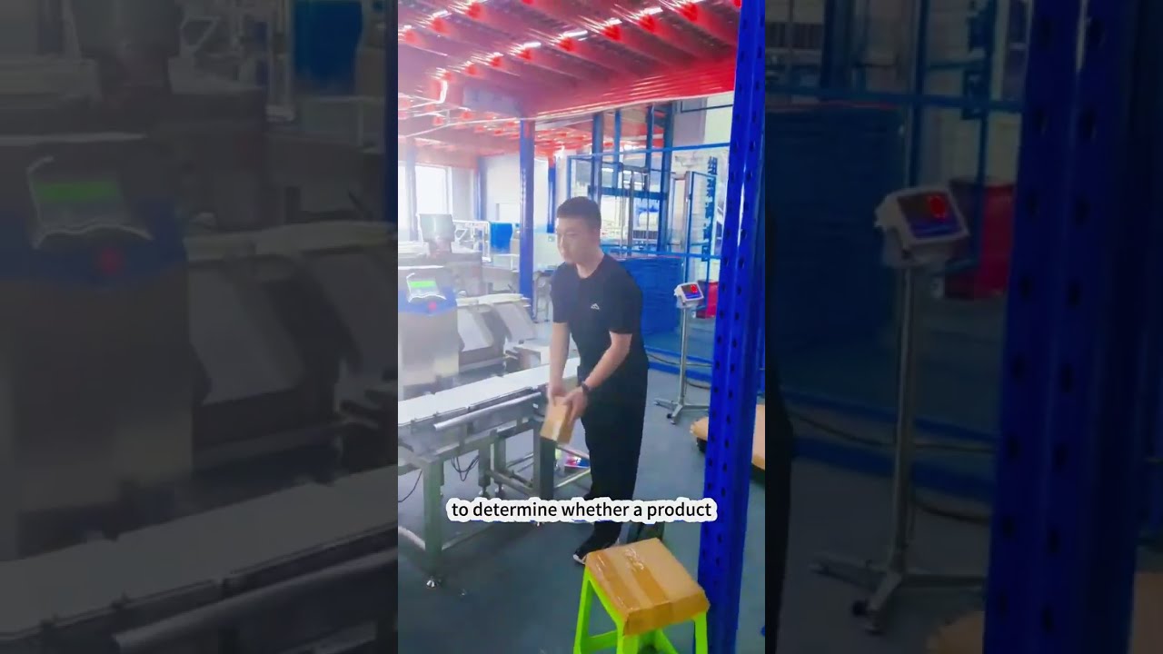 #Checkweigher #Checkweighing scale #Weight detection #WA +86 15311862732