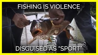 This Video Will Change Your Mind About Fishing