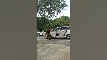 BTR CEM Pramod Boro #shortvideo #shorts #shortfeed #chief