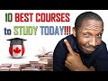 Top 10 courses to study in canada