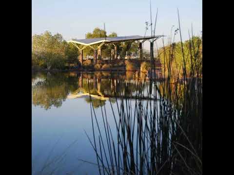 Video: Area di ripristino dell'habitat di Rio Salado