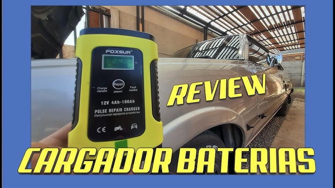 Qzgyoool Cargador de Batería,12V/6A Cargador de Baterías