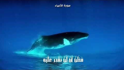 سورة الانبياء تلاوة جميلة حالة واتس سناب انستغرام
