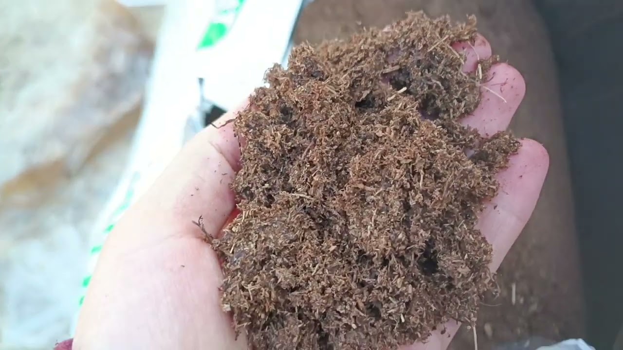 #Հապալասի հողախառնուրդ։ Ինչի մեջ տնկել հապալասը։ #հապալաս։