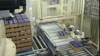 OCME - Robot palletising system for deodorants in trays and cartons