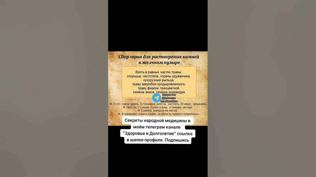 сбор трав для растворения камней в желчном пузыре #долголетие #здоровье ...