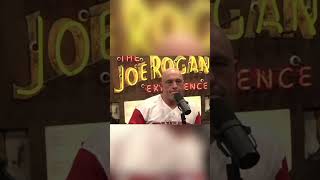 Joe Rogan and Elon Musk talk about the FUTURE