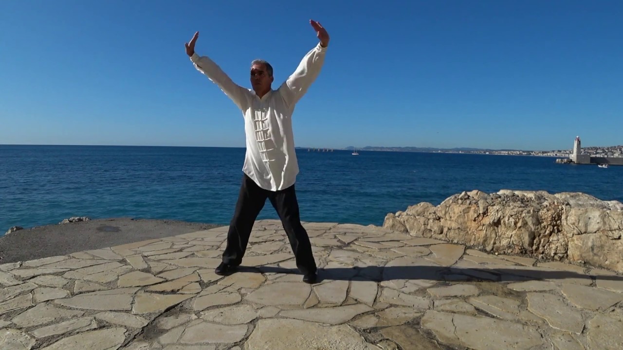 BIU JEE Snake Crane Wing Chun 3rd Form