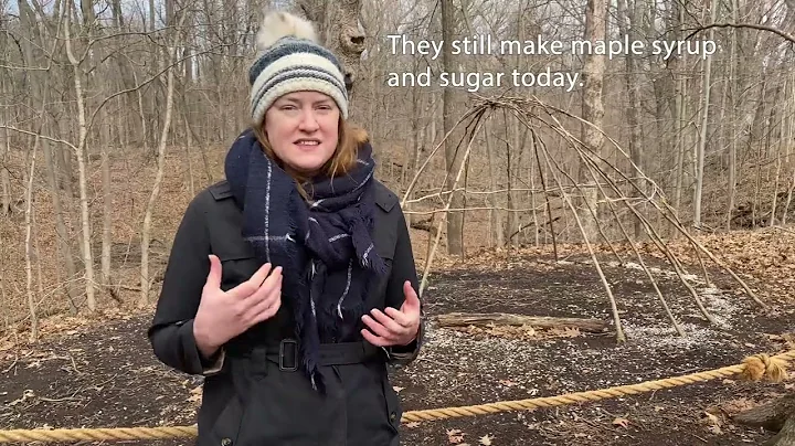 History of Maple Sugar