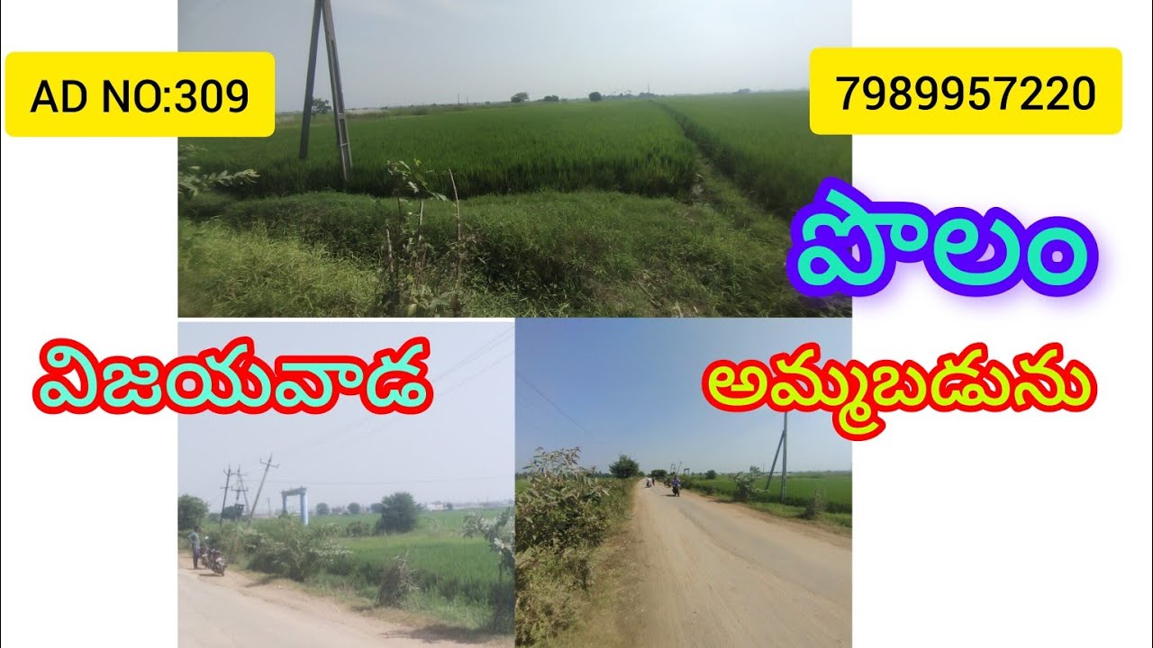 AGRICULTURE LAND SALE VIJAYAWADA MADDURU ROAD FACING YouTube