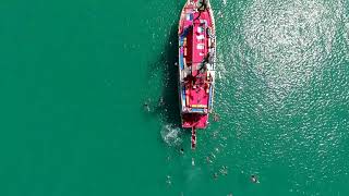 Vip Prestige Boat Side Beach Tour