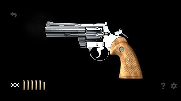 SHOOTING A NICKEL PLATED PYTHON REVOLVER