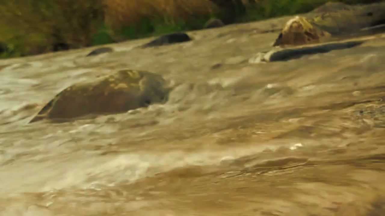 Relaxing River Sounds - Water on Stone