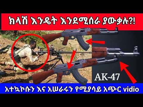 ቪዲዮ: የሽጉጥ ደህንነት እና የቤት እንስሳት