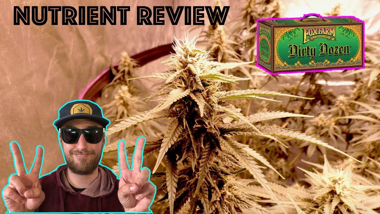 fox-farm-dirty-dozen-nutrient-review-bud-results-youtube