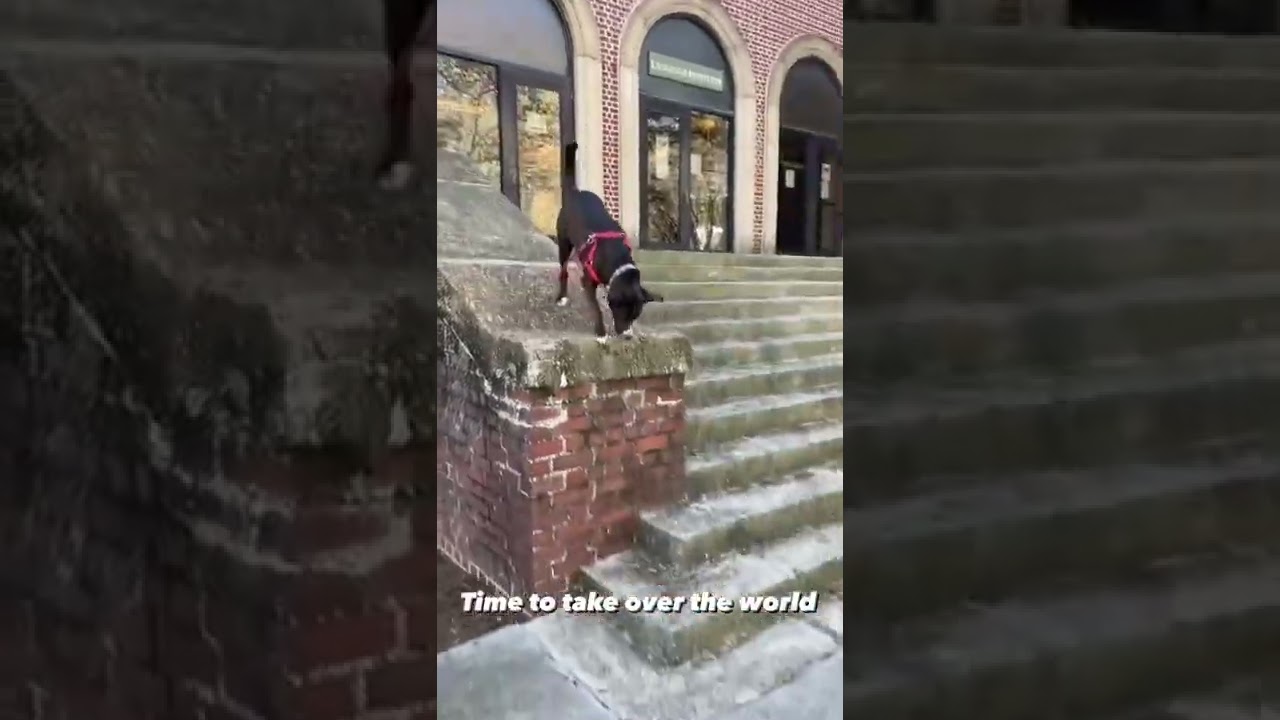 This is your sign to hustle & take over the world 