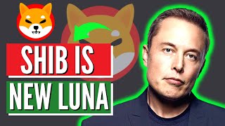 Elon Musk Revealed: Why Terra Luna Crash is Good For Shiba Inu Coin! Insane SHIB Mass Adoption!