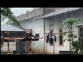 🔴LIVE Heavy rain in beautiful village||very heavy and cool