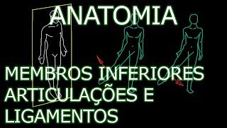 Pernas articulações das