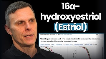 Estriol Shown to Increase Lifespan as Winner of Intervention Testing Program