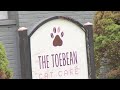 Toebean Cat Cafe temporarily closed after break-in, vandalism