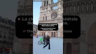 8 useful French verbs in Paris!