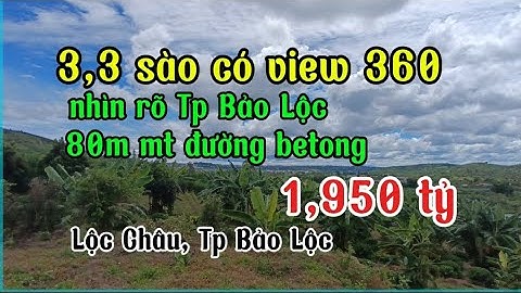 Bán 3300m² đất hẻm Đinh Công Tráng, Lộc Châu, Bảo Lộc, view cực đẹp, 80m đường betong, giá 1,950 tỷ.