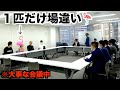 ハロウィンパーティーと嘘ついて集合場所に行ったら大事な会議だったドッキリ