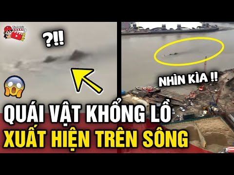 Video Du lịch trên sông, nhóm du khách vô tình quay được... - youtube