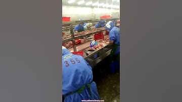 fish processing, tilapia filleting line, tilapia processing, tilapia, tilapia filleting