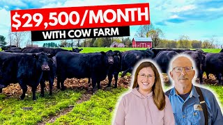 How to Start $350K/Year Cow Farm Business