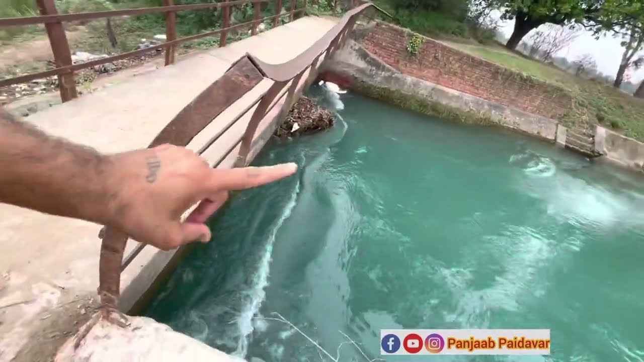 ਭਾਖੜਾ ਦਾ ਪਾਣੀ ਧਰਤੀ ਵਿੱਚ ਹੀ ਹਜ਼ਮ ਹੋ ਗਿਆ।