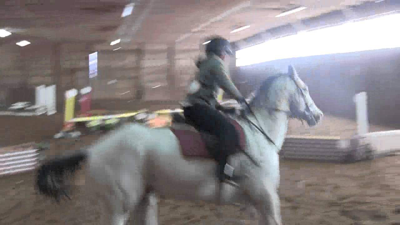2014 St. Jude Jumpathon at Guilford Riding School(7/7) YouTube