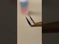 Tweezers cleanser